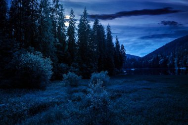 Geceleri yaz dağlarında göl manzarası. Dolunay ışığında kozalaklı ormanlarla çevrili taze bir su kütlesi. Fotoğraf turizmi için harika bir dağlık alan manzarası. gizemli fantezi