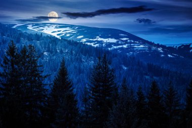 İlkbaharda geceleri dağ manzarasında kozalaklı orman. Dolunay ışığında koyu gökyüzü olan yemyeşil bir çevre. Kar tepelerinin manzarası. Sahte haber ya da komplo konsepti için arka plan
