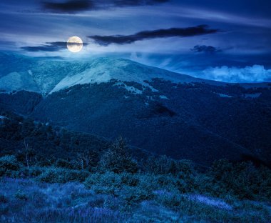 Yazın geceleri güzel dağ manzarası. Yeşil çimenli tepelerin manzarası, dolunay ışığında dağlık bir orman. Açık hava turizmi için karanlık gökyüzü altında güzel bir manzara. gizemli fantezi