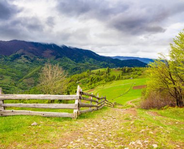Yeşil çimenlikteki kırsal arazinin yuvarlak tepeleri. Karpat Dağları 'ndaki ahşap çitler. İlkbaharda alp kırsalında. Bulutlu gökyüzü. Açık hava maceraları için uzak bir yer. Sağlık ve Kaçış kavramı