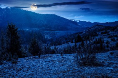 Karpat dağları gecenin erken saatlerinde. Ağaç kütükleri dolunay ışığında tepelerde yuvarlanır. Orman temizliği. Mavi gökyüzünün altındaki ormanların yok olması. Sahte haber ya da komplo kavramları için arka plan