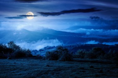 Geceleri sisli dağ manzarası. İlkbaharda dolunayda yemyeşil dağlarda. Vadinin güzel manzarası. Bulutlu karanlık gökyüzü. Kırsal kurgu sanatı veya gizemli kavramlar için arkaplan