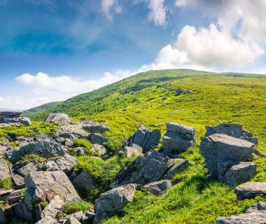 Yazın mavi gökyüzünün altında güneşli dağ manzarası. Bereketli yeşil çimenler ve dik yamaçtaki keskin kayalar. Karpatya alp ortamının güzel manzarası