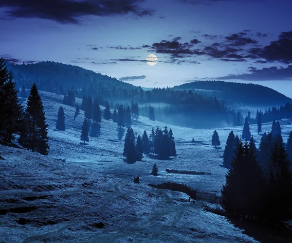 Brouillard sur la forêt dans les montagnes la nuit — Photo