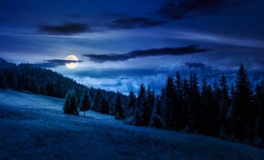 Geceleri kozalaklı ormanlarla birlikte dağların yamaçlarında. Dolunay ışığında çimenli çayırlarda çam ağaçları olan uzak kırsal bölge. Yazın gizemli fantezi manzarası