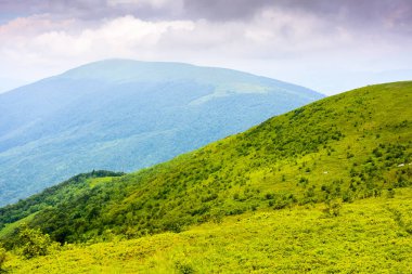 Ukrayna 'daki Karpatlar' ın muhteşem yaz manzarası. Tepelerin ve yeşil çayırların manzaralı dağları. Bulutlu gökyüzü. Yeşil çevre sürdürülebilirliği ve korunması. Dünya Günü için arkaplan