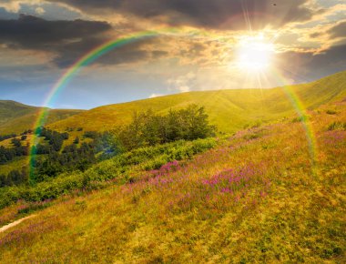 Yazın gün batımında güzel bir Karpatya dağ manzarası. Akşam ışığında Alp ormanı olan yeşil çimenli tepelerin manzarası. Gökkuşağı ile mavi gökyüzü altında açık hava turizmi için resim gibi bir manzara