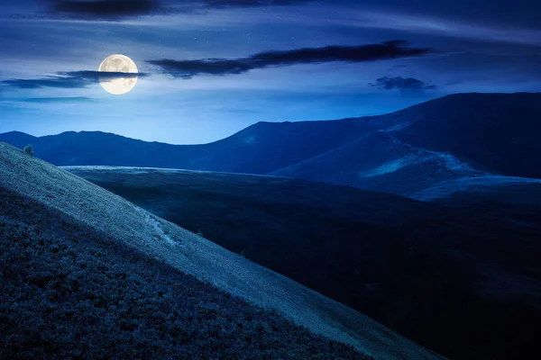 Yazın geceleri manzaralı dağ manzarası. Yuvarlanan tepelerle güzel bir seyahat geçmişi var. Dolunayda yemyeşil çimenli yamaçta benekli ışık. Dar bir telefon görüşü. gizemli fantezi