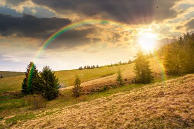 Baharda gün batımında bulutlu gökyüzünün altında yeşil tarlaları olan yuvarlanan bir tepe. manzaralı kırsal manzara dağları akşam ışığında. gökkuşağıyla kaplanmış sonsuz nostalji kitabı. Doğal güzellik estetiği
