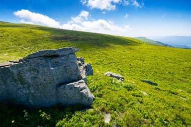 Alp dağı manzarası. Geniş çayırlarda el değmemiş çimenler ve keskin kumtaşı. Yaz aylarında Karpat Alpleri 'nin yürüyüş geçmişi. Ilıman transcarpathia iklimi. yuvarlanan dünya günü duvar kağıdı