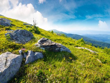 Yazın Ukrayna 'nın Karpat Dağları manzarası. Mavi gökyüzünün altında dik çimenli yamaçlı alp manzarası. Güzel kozalaklı ağaç manzarası yemyeşil çimenler arasında kaya oluşumlarının yanında. uzak yer