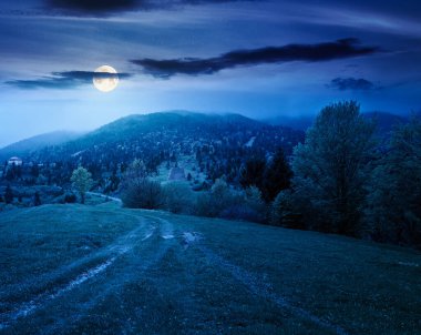 Geceleri dağ manzarasının uzak kırsallarında. Dolunay ışığında bahar boyunca sisli bir hava. Bir tepedeki yemyeşil otlaktan geçen toprak yol. Yaprak döken ağaçlarla gizemli alp manzarası