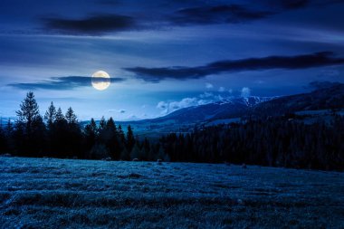 İlkbaharda geceleri dağlık kırsal alan. Alp çayırlarının arkasındaki kozalaklı orman dolunay ışığında taze çimlerle kaplıydı. Uzak kar tepeli tepe manzaralı. Açık hava harika.