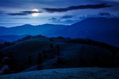 İlkbaharda geceleri dağlık kır manzarası. Dolunay ışığında yuvarlanan tepelerde toprak yol ve ağaçlar. Uzaktaki dağ sırtı. gizemli hava. Alp kırsal arazisi