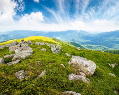 Yazın kayalarla kaplı dağ manzarası. Mavi gökyüzünün altındaki yeşil çimenler. Güneşli bir günde alp çayırı ve kayalarla yuvarlanan tepeler. Çevre sürdürülebilirliği ve korunması. Dünya Günü için arkaplan