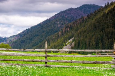 Ahşap çitli yeşil kırsal alan. İlkbaharda Rolling Hill ile kırsal bir manzara. Bulutlu havada Pastoral Highland bölgesi. Çevre sürdürülebilirliği ve korunması. Dünya Günü için arkaplan