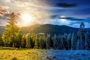 Çimenli yamaçtaki kozalaklı orman. Gündüz ve gece buluşması. Alacakaranlıkta dağ manzarası sonbahar ekinoksu. Uzaktaki tepenin üstündeki dinamik bulutlar. Uzaklardaki dağlarda gezinme arzusu
