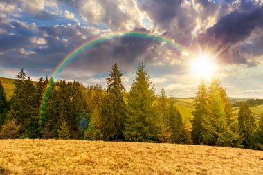 İlkbaharda gün batımı ve muhteşem kırsal manzara. Gökkuşağının altındaki tepede bir sıra çam ağacı. Çayırları ve yıpranmış otları olan güzel bir dağ manzarası. Gökyüzündeki bulutlar