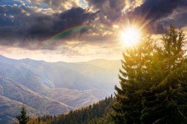 Gün batımında dağlardaki bakir kozalaklı orman. Sonbaharda akşam ışığında, sarp yamaçlarda, yıpranmış çimlerde güzel ladin ağaçları. Alp manzarası. gökkuşağıyla kaplı sonsuz nostalji kitabı.