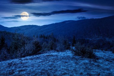 Karpat dağları gecenin erken saatlerinde. Ağaç kütükleri dolunay ışığında tepelerde yuvarlanır. Orman temizliği. Mavi gökyüzünün altındaki ormanların yok olması. Sahte haber ya da komplo kavramları için arka plan