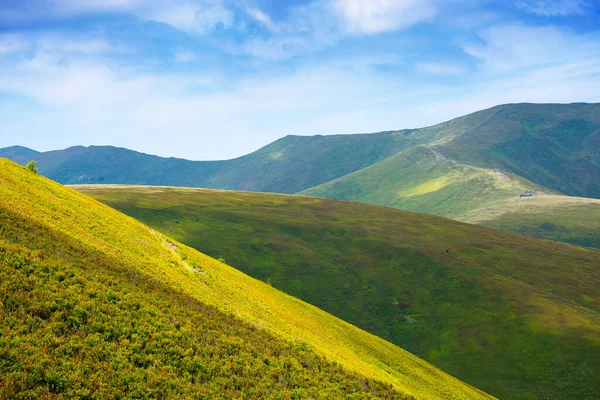 Yazın Ukrayna 'nın Karpat Dağları manzarası. Yuvarlanan tepelerle güzel bir seyahat geçmişi var. Lekeli ışıkta yemyeşil çimenli yamaçta. Transcarpathia tatil sezonu. dar telefon görünümü