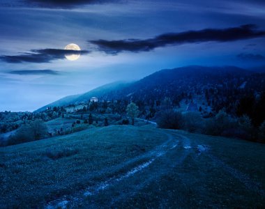 Geceleri dağ manzarasının uzak kırsallarında. Dolunay ışığında bahar boyunca sisli bir hava. Bir tepedeki yemyeşil otlaktan geçen toprak yol. Yaprak döken ağaçlarla gizemli alp manzarası