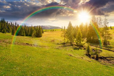 Baharda gün batımı ve dağ manzarası. Çimen tarlasının yakınındaki kozalaklı ormanın huzurlu kırsal manzarası. Gökkuşağının altında kar kaplı tepeli güzel bir sırt.