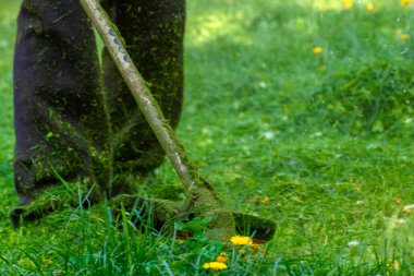 Baharda çim biçme ve budama. Profesyonel bahçe bakımı hizmetleri. Çevre bakımı için bahçe ya da yabani otların dostça budanması.