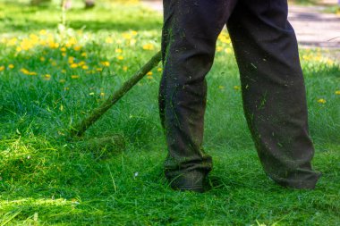 Baharda çim biçme ve budama. Profesyonel bahçe bakımı hizmetleri. Çevre bakımı için bahçe ya da yabani otların dostça budanması.