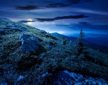Yazın geceleri dağ manzarası. Dolunay ışığında mavi gökyüzünün altında dik çimenli yamaçlı alp manzarası. Güzel kozalaklı ağaç manzarası yemyeşil çimenler arasında kaya oluşumlarının yanında. uzak yer