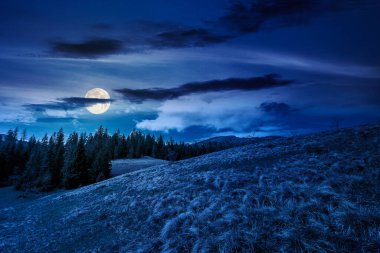 Geceleri dağlık arazide çimenli çayırlarda kozalaklı orman. İlkbaharda güzel kırsal manzaranın üzerinde dolunay. Gökyüzündeki bulutların altında gizemli bir açık manzara. düşük açı görünümü
