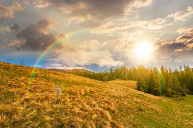 Dağ manzarasındaki çimenli çayır üzerindeki kozalaklı orman. Baharda gün batımı ve güzel kırsal manzaralar. Gökyüzündeki bulutların altında harika bir açık manzara. Gökkuşağının altında alçak açı görünümü
