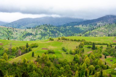 İlkbaharda kırsal dağ manzarası. Soğuk bulutlu bir havada doğu Avrupa kırsal manzarası. Mayıs 'ta muhteşem Transcarpathia' nın yuvarlanan tepelerinin üzerinde bulutlu bir gökyüzü.