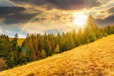 İlkbaharda gün batımını muhteşem kırsal manzara üzerinde izleyeceğiz. Yıpranmış çimenlerdeki çayır dik bir tepedeki köknar ağaçlarının yanında. Gökyüzünde bulutlar olan dağ manzarası. Gökkuşağıyla hava
