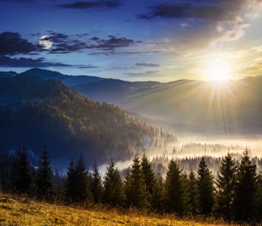 kozalaklı orman dağlarında