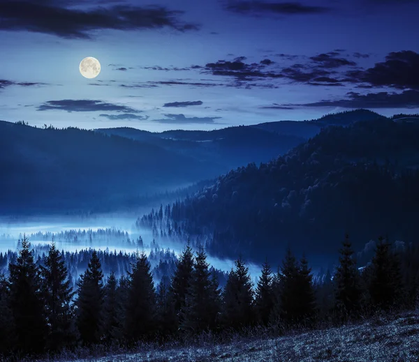 Nevoeiro frio à noite nas montanhas — Fotografia de Stock