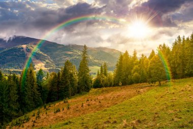 Gün batımında çimenli yamaçta kozalaklı orman. Akşamüstü, eylülde dağ manzarası. Uzaktaki tepenin üstündeki dinamik bulutlar. Gökkuşağının altındaki uzak dağlarda gezinme arzusu