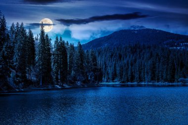 Yeşil ladin ormanlarının arasında bir dağ gölü. Geceleri güzel bir bahar manzarası. Dalgalanan su yüzeyindeki ay. Gökyüzünde bulutlar olan gizemli dağlık doğa manzarası.