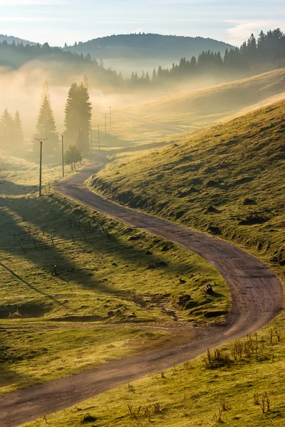 Curva estrada para a floresta de montanha no nevoeiro ao nascer do sol — Fotografia de Stock