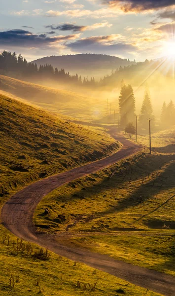 Curva estrada para a floresta de montanha no nevoeiro ao pôr do sol — Fotografia de Stock