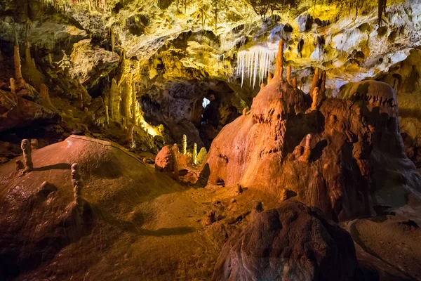 Grotte Ursus spelaeus dans les montagnes roumaines transilvania — Photo