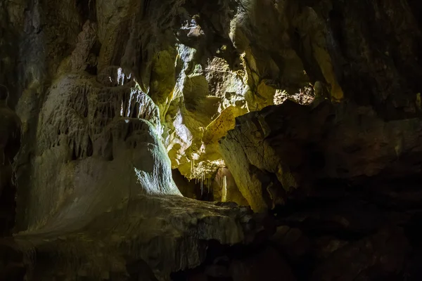 Grotte Ursus spelaeus dans les montagnes roumaines transilvania — Photo