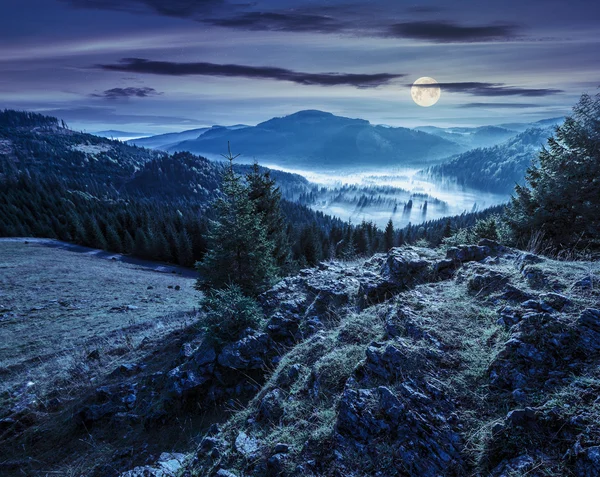Valle con bosque de coníferas lleno de niebla en la montaña por la noche —  Fotos de Stock