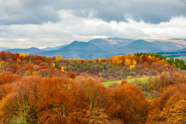 Autumn mountain landscape with red and yellow forest foliage — Stock Photo, Image