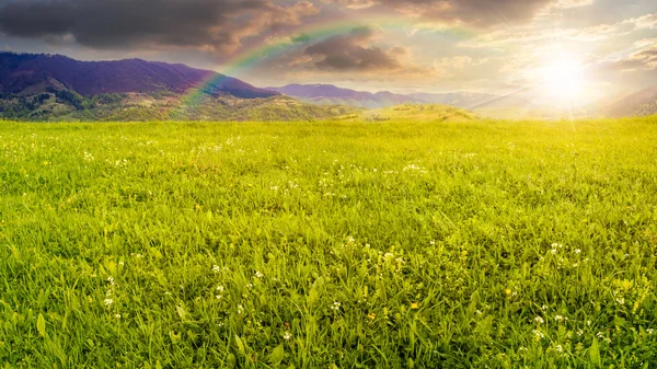 Fresh grass  meadow near the mountains at sunset — Stock Photo, Image