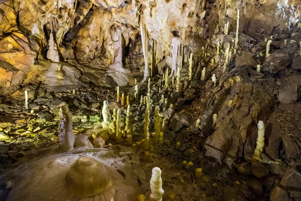 Grotte Ursus spelaeus dans les montagnes roumaines transilvania — Photo