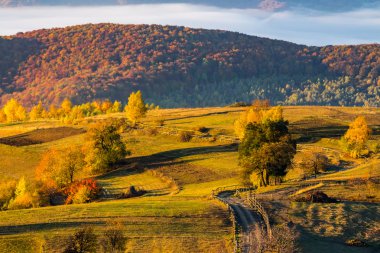 hillside günbatımında dağ çayır çit