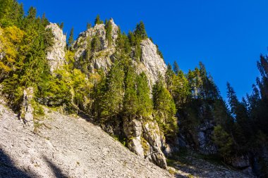 rocky hillseide Dağı'nın üzerinde iğne yapraklı orman