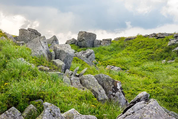 Stenblock på berget ängen med maskrosor — Stockfoto