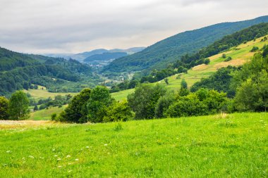 hillside çayır Köyü